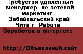 Требуется удаленный менеджер (не сетевой маркетинг) - Забайкальский край, Чита г. Работа » Заработок в интернете   